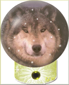 snow globe with a wolf